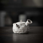 Handbuilt Nanban-yaki Side Handle Kyusu (Teapot) - Rouseclay