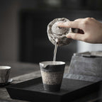 Handbuilt Nanban-yaki Side Handle Kyusu (Teapot) - Rouseclay