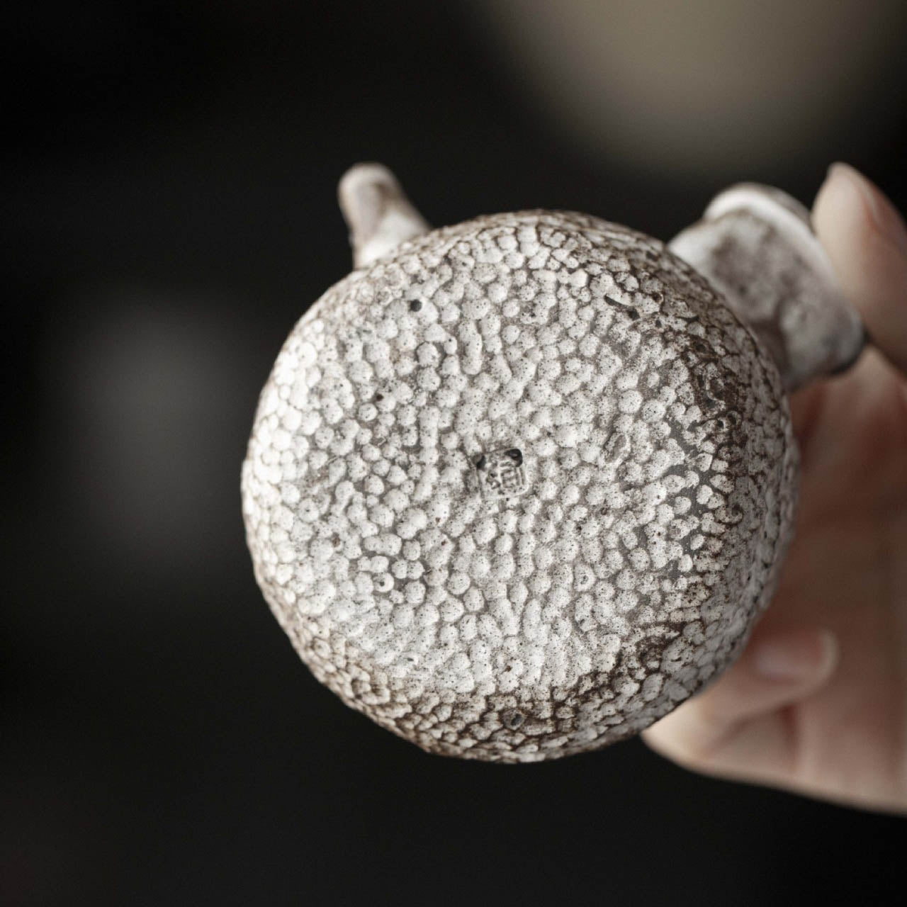 Handbuilt Nanban-yaki Side Handle Kyusu (Teapot) - Rouseclay