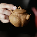 Golden-Flecked Zisha Clay Fully Handcrafted Teapot - Rouseclay