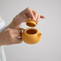Xishi Yixing Yellow Chinese Teapot handmade Chinese ceramic gongfu teacup